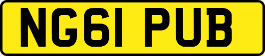 NG61PUB