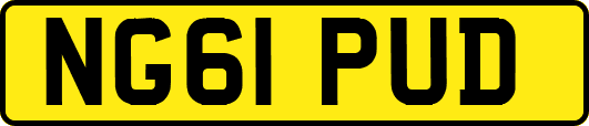 NG61PUD
