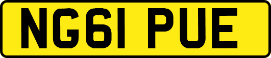 NG61PUE