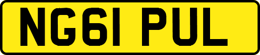 NG61PUL