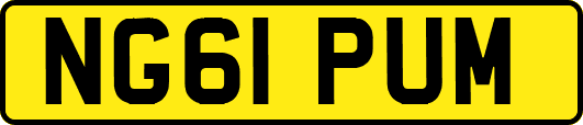 NG61PUM