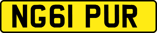 NG61PUR