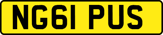 NG61PUS