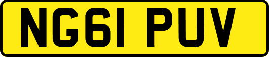 NG61PUV