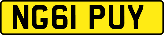 NG61PUY
