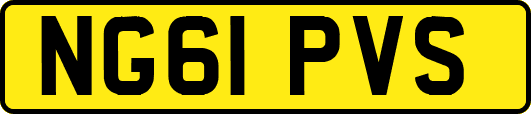 NG61PVS