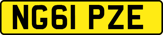 NG61PZE