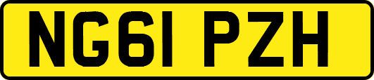 NG61PZH