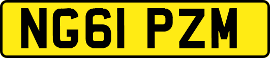 NG61PZM