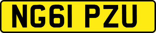 NG61PZU