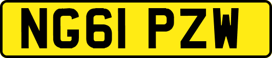 NG61PZW