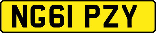 NG61PZY