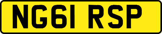 NG61RSP