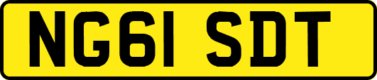 NG61SDT