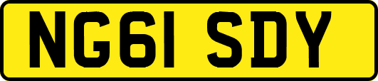 NG61SDY