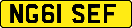 NG61SEF
