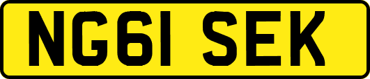 NG61SEK