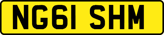 NG61SHM
