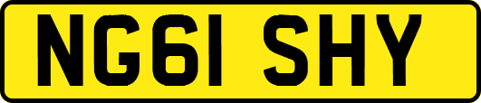 NG61SHY