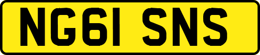 NG61SNS