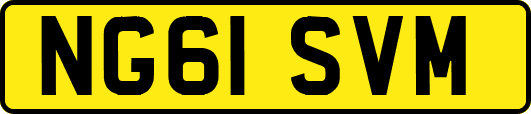 NG61SVM