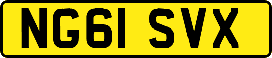NG61SVX