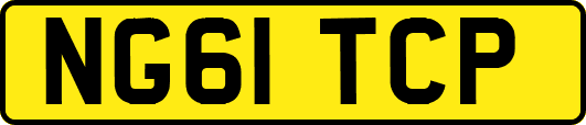 NG61TCP