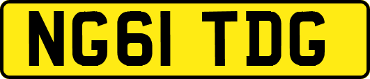 NG61TDG