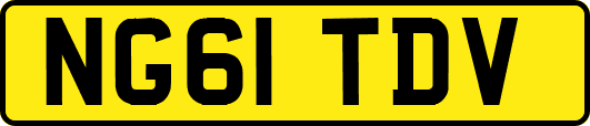NG61TDV