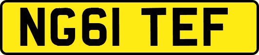 NG61TEF