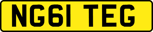 NG61TEG