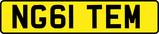 NG61TEM