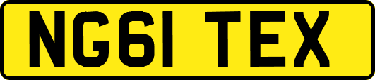 NG61TEX