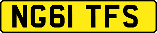 NG61TFS