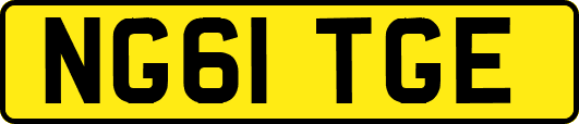 NG61TGE