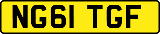 NG61TGF