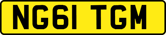 NG61TGM