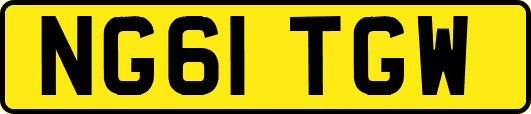 NG61TGW
