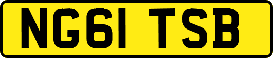 NG61TSB