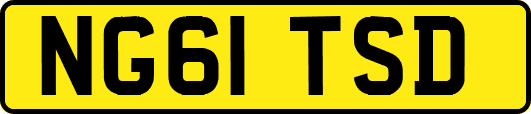 NG61TSD