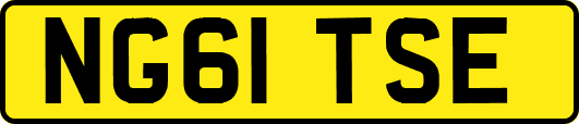 NG61TSE
