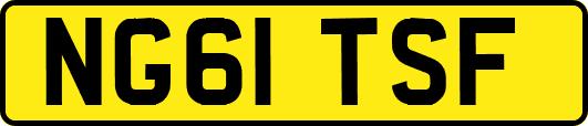 NG61TSF