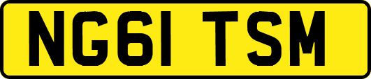 NG61TSM
