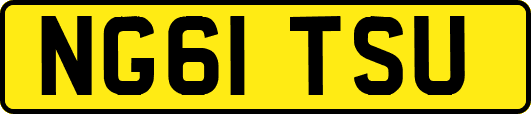 NG61TSU