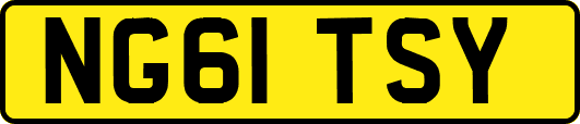 NG61TSY
