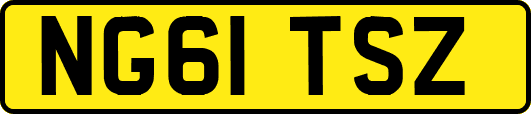 NG61TSZ