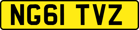 NG61TVZ