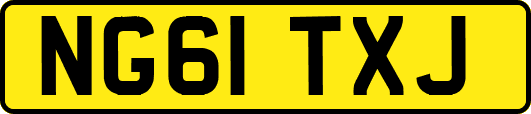 NG61TXJ
