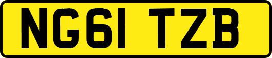 NG61TZB