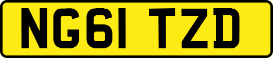 NG61TZD